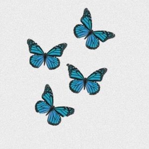 Meet your Posher, Addyson